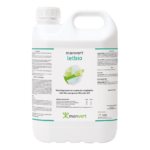 Manvert Letbio 5 litros | Activador desbloqueo vascular